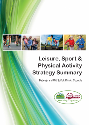 BMS Leisure Strategy 2017-30